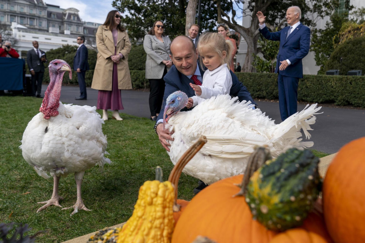 Indory u prezydenta USA! Joe Biden ułaskawił ptactwo