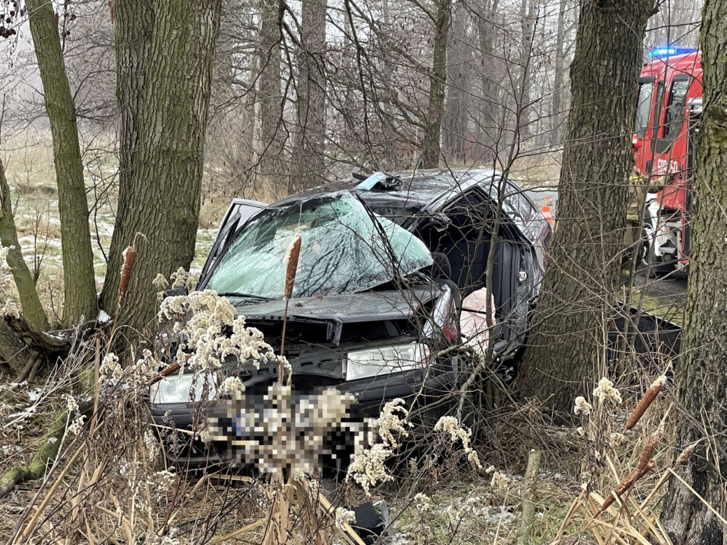 Tragedia pod Wołominem. Wypadła z drogi, rozbiła się na drzewie. 19-latka nie żyje