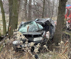 Tragedia pod Wołominem. Wypadła z drogi, rozbiła się na drzewie. 19-latka nie żyje