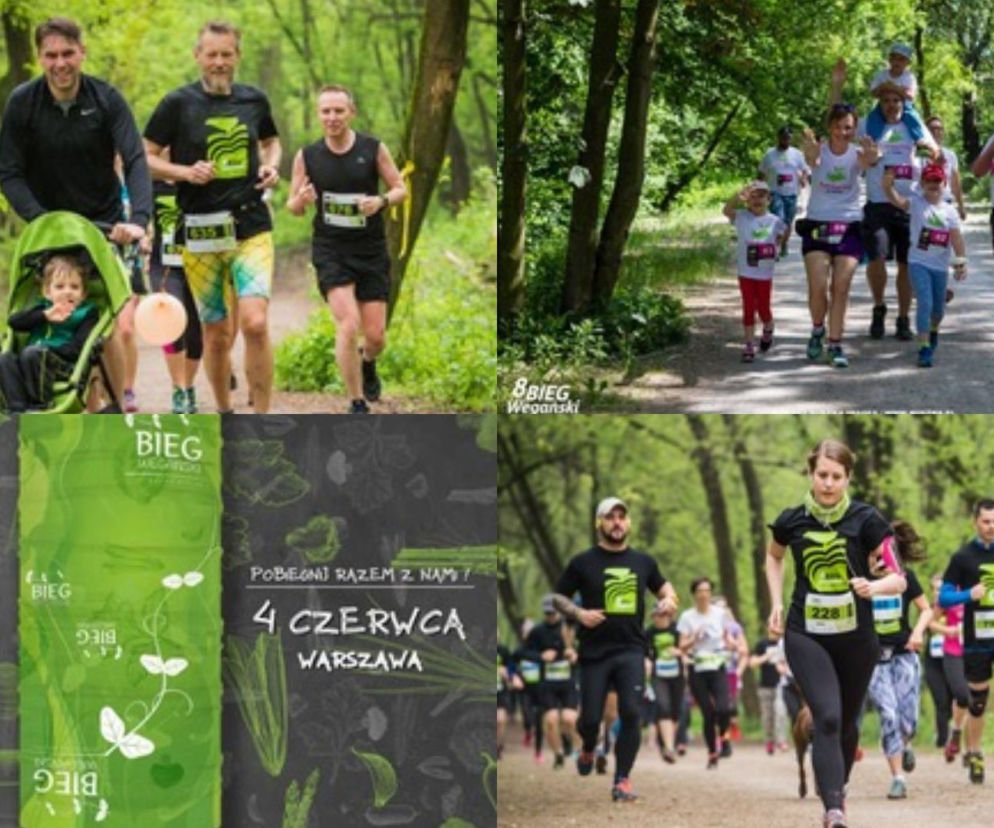 XIII BIEG WEGAŃSKI 4 czerwca! Chcesz wziąć udział? To łatwiejsze niż myślisz! 