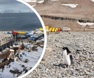 Polska Stacja Antarktyczna - budowa nowej bazy