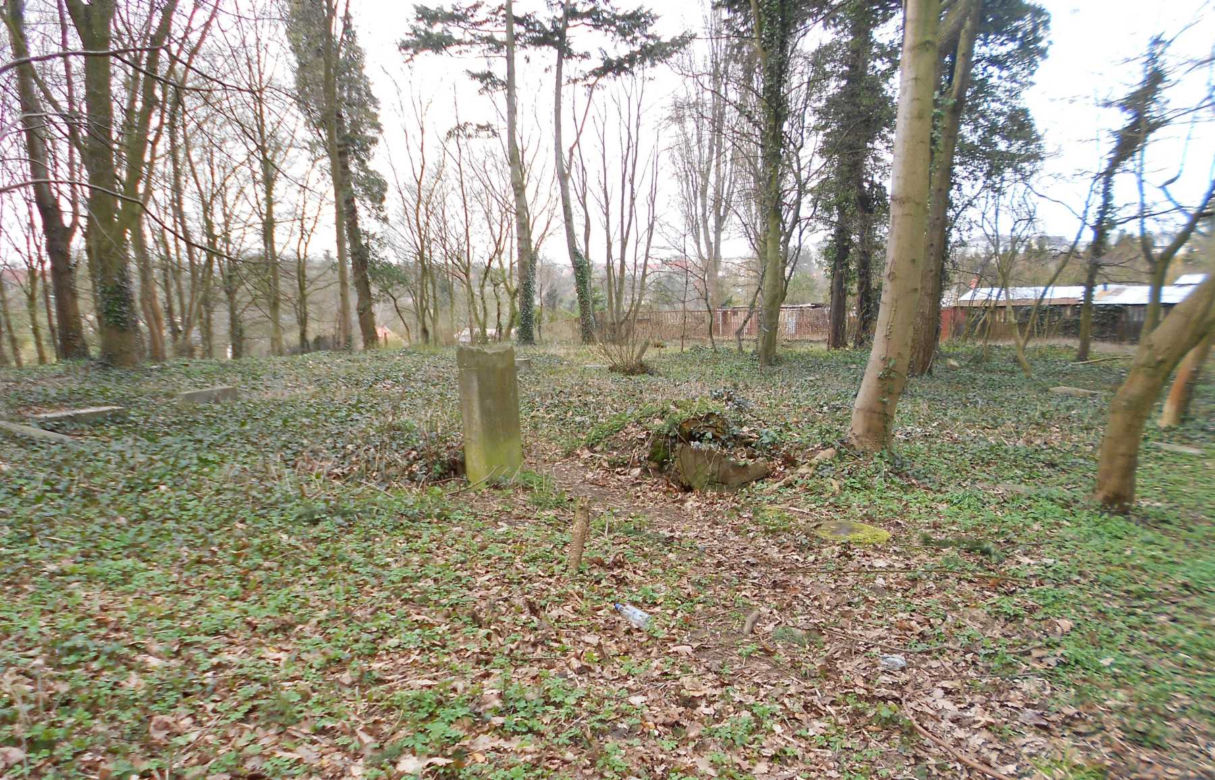 Zaniedbany stary cmentarz przy ul. Ostrowskiej zmienia się w piękny park