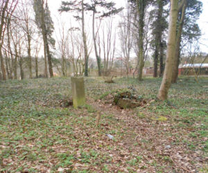 Zaniedbany stary cmentarz przy ul. Ostrowskiej zmienia się w piękny park