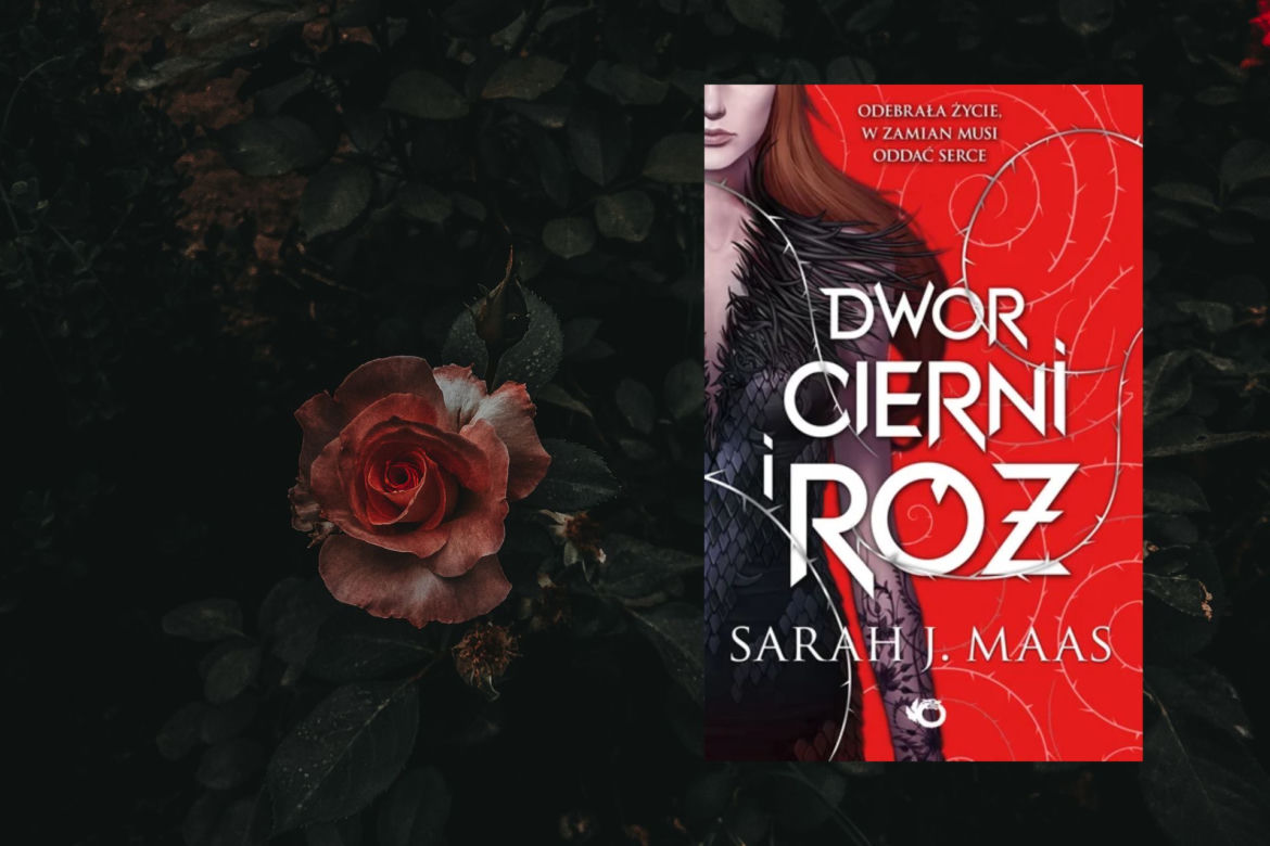 TOP 7 najlepszych książek fantasy dla kobiet i dziewczyn! Co czytać w wakacje? [ZDJĘCIA]