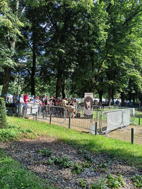 Dożynki Miejskie i Święto Chleba Poznań 2023