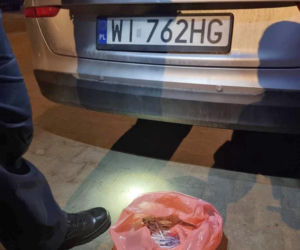 Trawnik usłany strzykawkami i igłami. Strażnicy nazbierali pół wiadra!