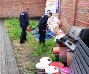 Akcja Policji w gminie Chełmża. Skarbiec przestępcy krył wiele tajemnic