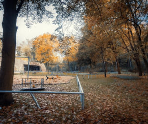 Park Miejski Starachowice