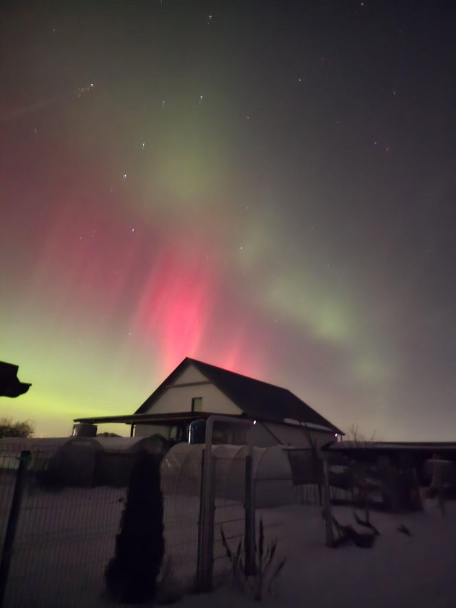 Niesamowite zjawisko nad Świętokrzyskim. Zorza polarna rozświetliła niebo!