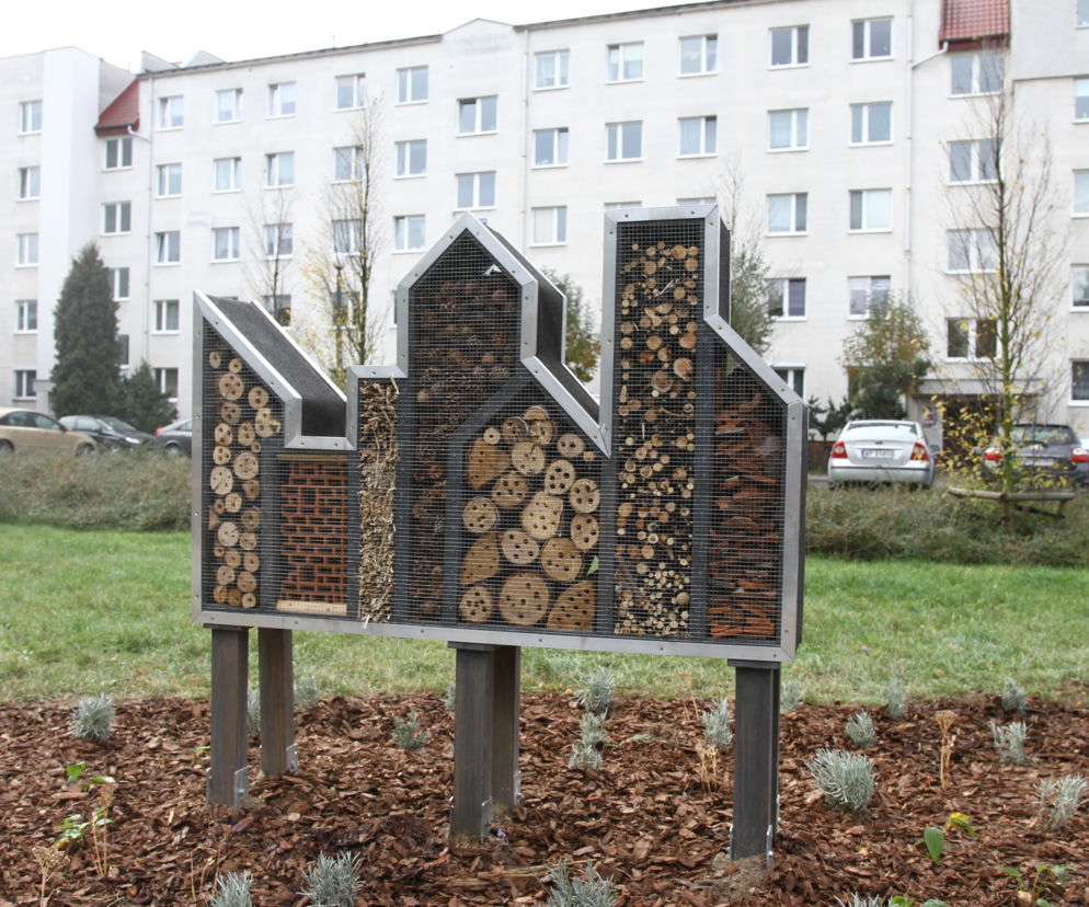 Dzikie zapylacze mają swój hotel w Płocku