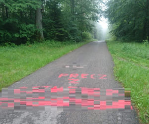 Demolka w nadleśnictwie! Gejowskie PORNO, penisy i HEJT na Trzaskowskiego! [ZDJĘCIA]