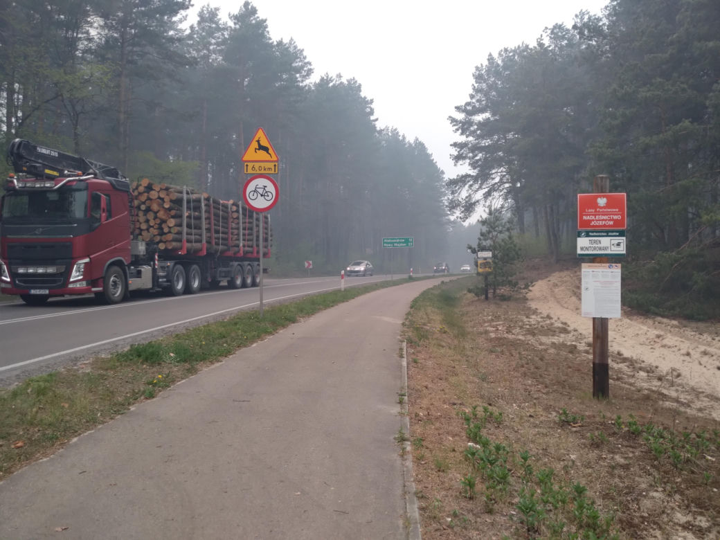 Pożar w Puszczy Białowieskiej