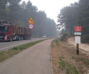 Pożar w Puszczy Białowieskiej