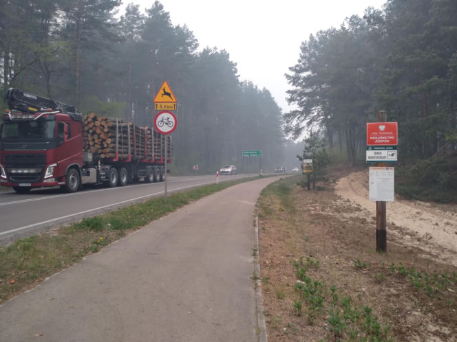 Pożar w Puszczy Białowieskiej