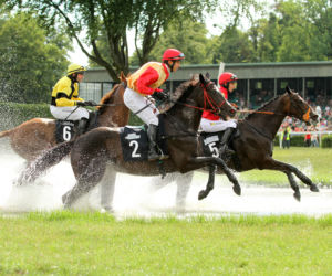Ladies Day i Crystal Cup na Partynicach