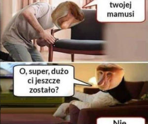 Tych memów o teściowych nie pokażesz mamie! Internauci nie mają litości