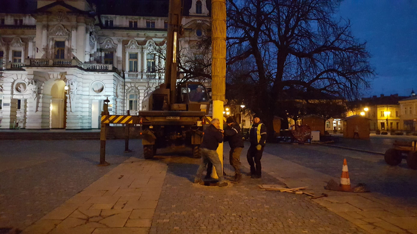  Gigantyczna palma wielkanocna  w Nowym Sączu