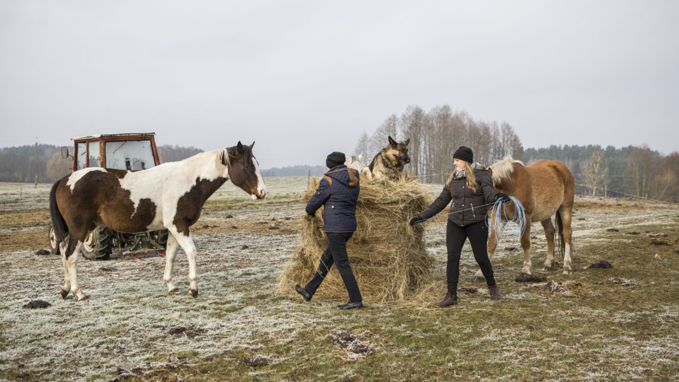 Rolnicy. Podlasie, odcinek 5 [11.04.2021]	