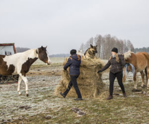 Rolnicy. Podlasie, odcinek 5 [11.04.2021]	