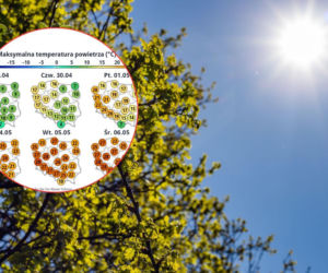 Upały w pierwszych dniach maja 2026 w Polsce. Prawie 30 stopni na termometrach! 