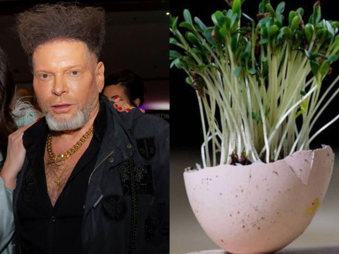 Rzeżuchy które wyglądają jak Krzysztof Rutkowski i jego legendarne fryzury