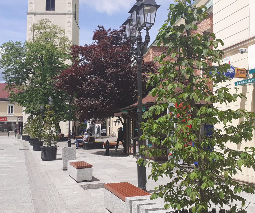 Graby ozdobiły centrum Rzeszowa