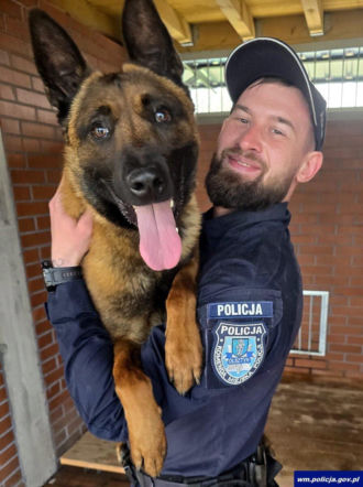 Pies złapał włamywacza! Doprowadził pod drzwi