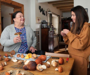 Barwy szczęścia, odcinki 3322 - 3326