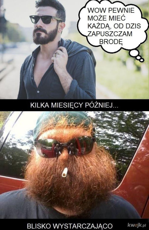 Memy o brodzie z okazji Światowego Dnia Brody