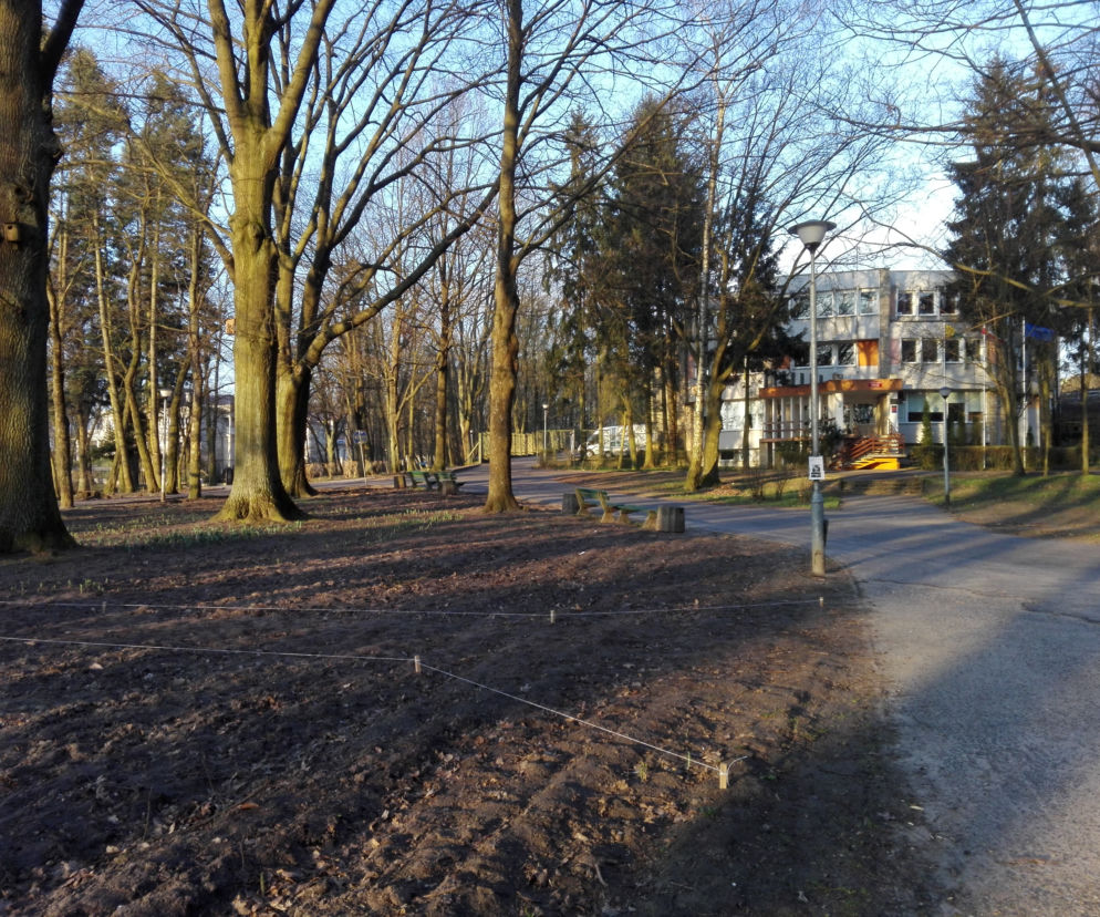 Park Piastowski w Zielonej Górze
