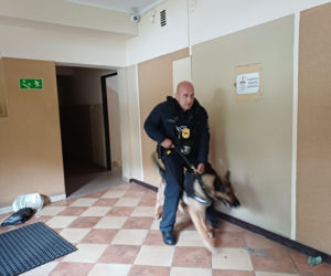 Psy służbowe, szkolenia i strefa pierwszej pomocy. Trwa drugi dzień CERBERUS K9 w Ostrowie
