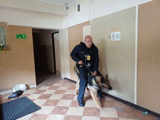 Psy służbowe, szkolenia i strefa pierwszej pomocy. Trwa drugi dzień CERBERUS K9 w Ostrowie