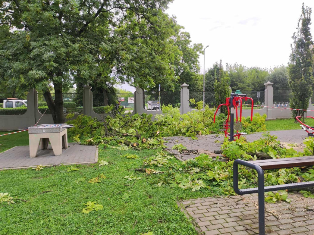 Tarnów. Dziewczynka uderzona przez zerwany konar. Koszmar na placu zabaw w Parku Strzeleckim