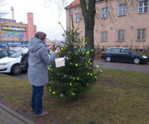 Nietypowa choinka stanęła w Mrągowie