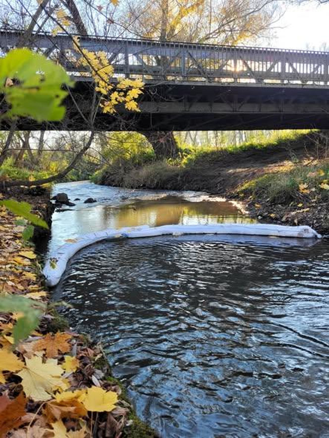Na Białusze w Krakowie pojawiły się łapacze śmieci