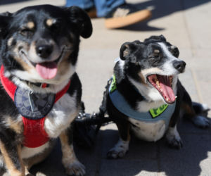 Marsz „Zerwijmy łańcuchy” w Warszawie