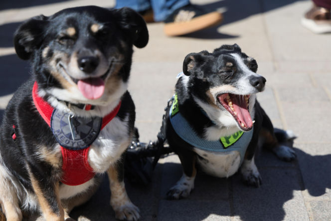 Marsz „Zerwijmy łańcuchy” w Warszawie