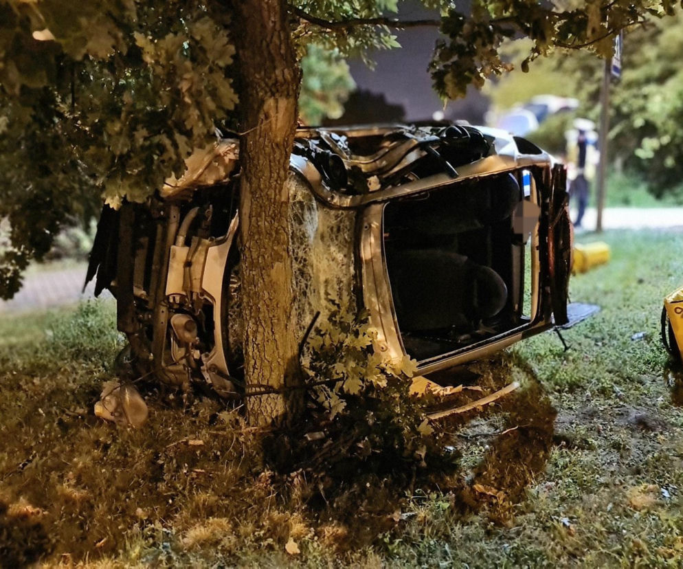 Owinął się Smartem wokół drzewa. To cud, że żyje