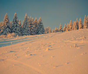 Sezon narciarski wystartował w Zieleńcu na dobre