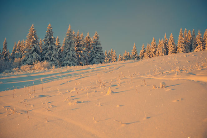 Sezon narciarski wystartował w Zieleńcu na dobre