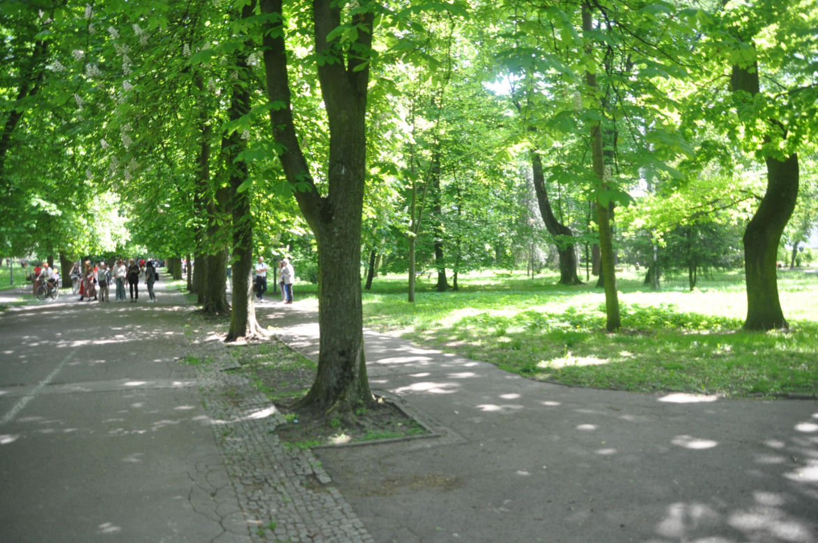 Park Miejski w Kielcach. Wiosna 2025