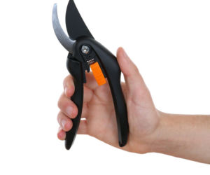 Sekator