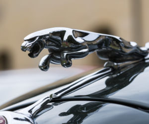 Zmiany w życiu marszałka Senatu Tomasza Grodzkiego. Przesiądzie się z Jaguara do BMW