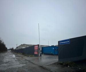 Choinka po świętach nie musi trafić na śmietnik. Lublin daje drzewkom drugie życie