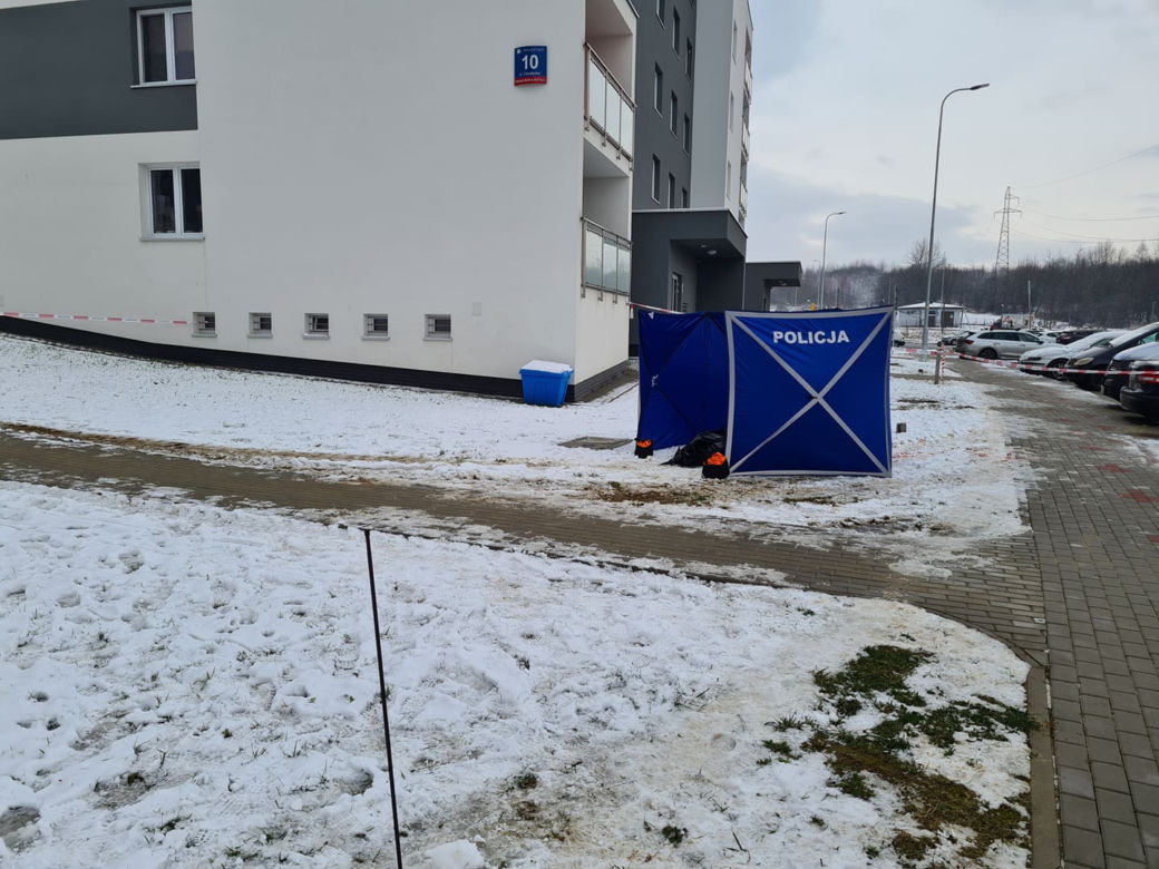 Krwawa masakra w Rzeszowie. Wołała pomocy, gdy dźgał ją nożem kuchennym. Nowe fakty [ZDJĘCIA]