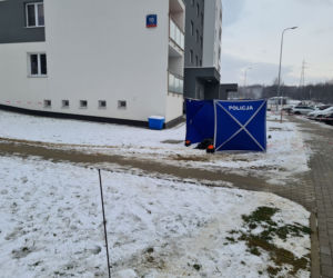 Krwawa masakra w Rzeszowie. Wołała pomocy, gdy dźgał ją nożem kuchennym. Nowe fakty [ZDJĘCIA]