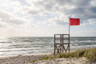 Sinice Stegna. Czy w Stegnie można się kąpać 13.07? Flaga, warunki pogodowe