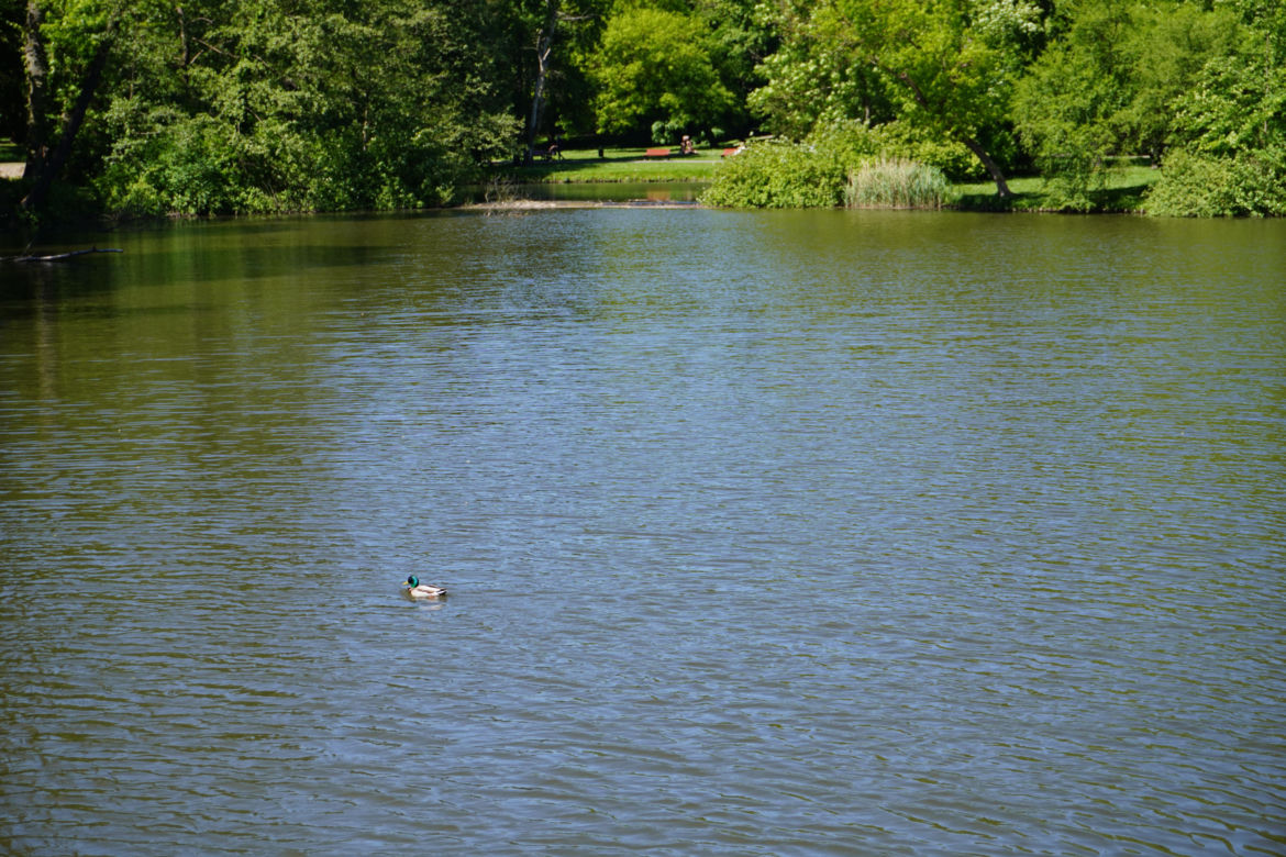 Park Sołacki w maju 2024
