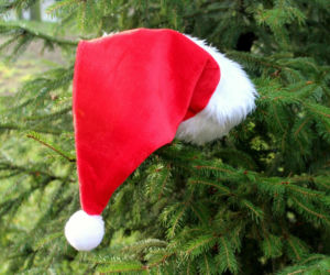 Mikołajki w Łomży. Aż trzy opcje na sobotę 