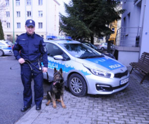 Funkcjonariusze na czterech łapach zaczynają służbę! Poznajcie Naba i Barego [ZDJĘCIA]